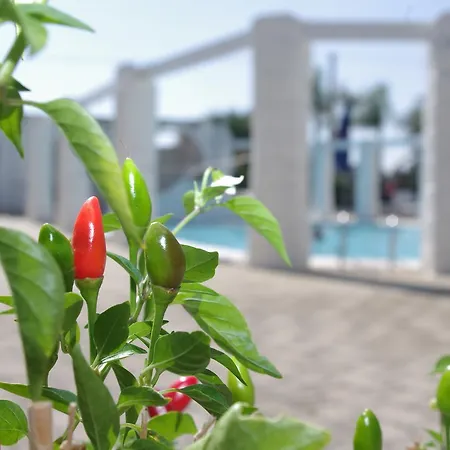 尼古拉酒店 滨海波利尼亚诺